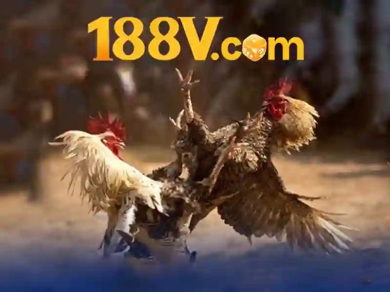 Lịch sử và nguồn gốc của 188v