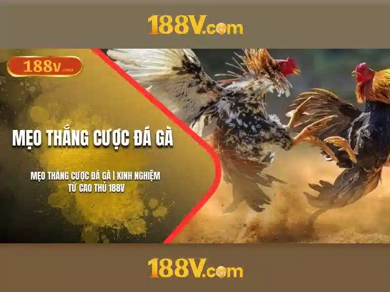 188v tải – Tổng quan chủ đề và giá trị cốt lõi