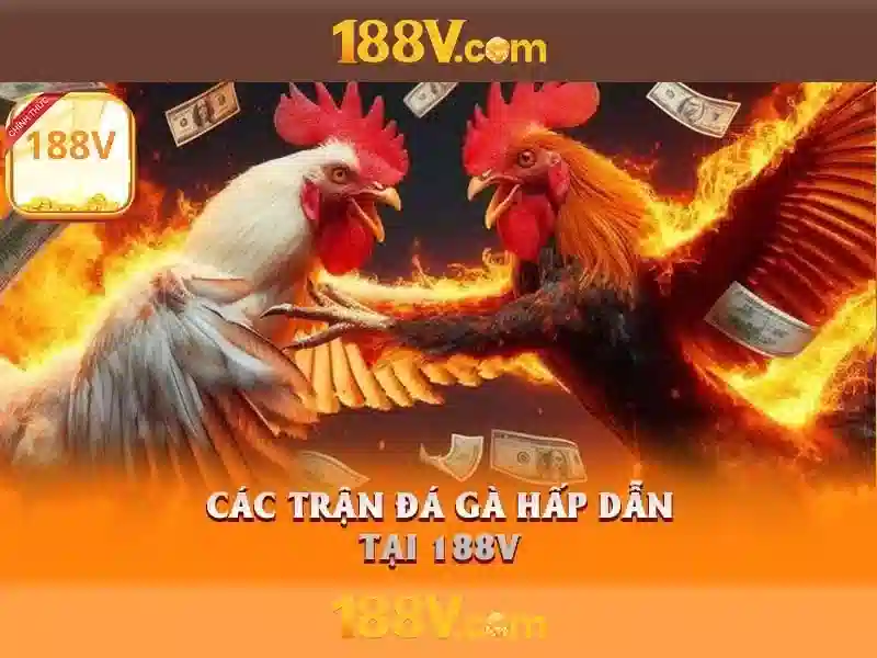 188v đăng nhập – Trải nghiệm mượt mà và an toàn cho người dùng