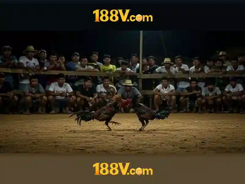 Sản phẩm và dịch vụ cốt lõi liên quan đến 188v là gì