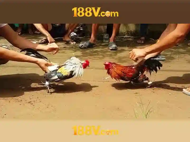 188v: một khái niệm sáng tạo