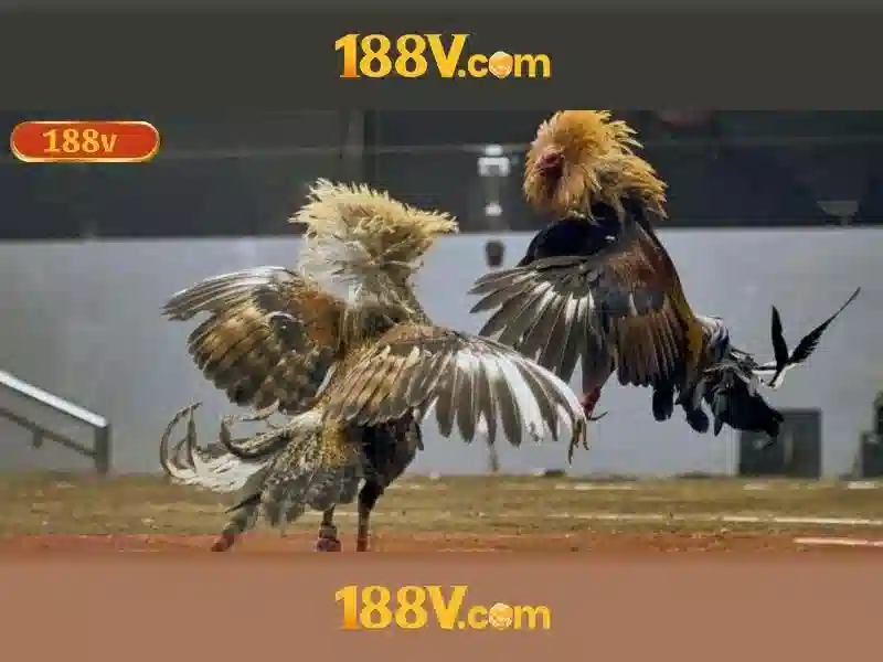 Khám phá 188v trong công nghệ