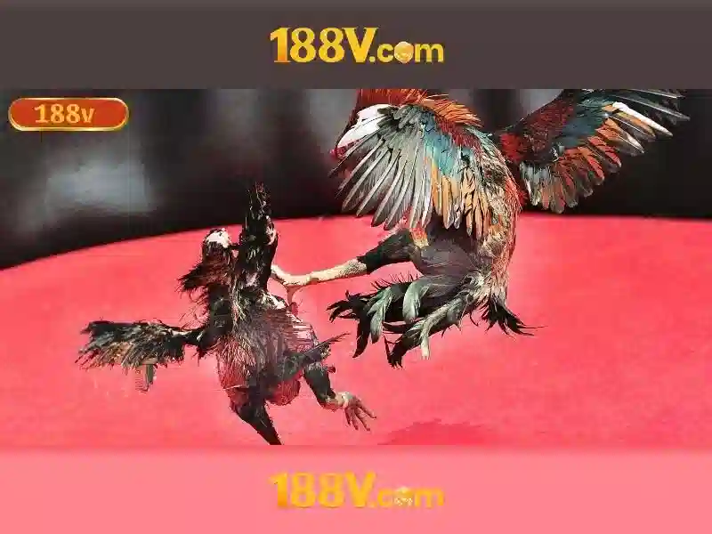 <!--IMG_PLACEHOLDER alt>Các sản phẩm và dịch vụ cốt lõi của 188v com tải app-->