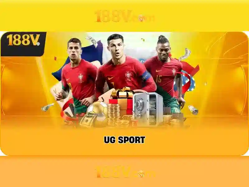 Trải nghiệm người dùng và phản hồi cộng đồng