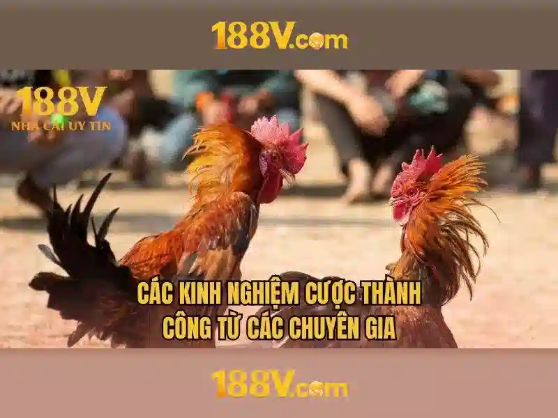 188V: một hành trình khai phá giới hạn công nghệ và nghệ thuật