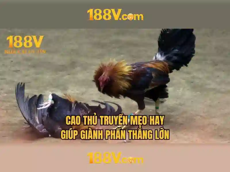 188V – Hiểu biết cơ bản về điện áp và an toàn
