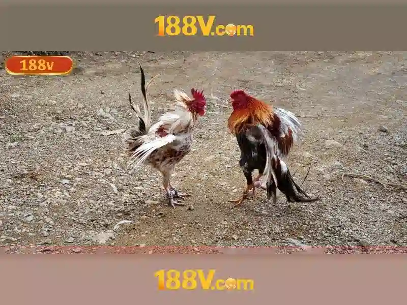 188v: một khái niệm công nghệ và cuộc sống