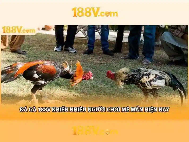 188V: nguồn điện, an toàn và ứng dụng