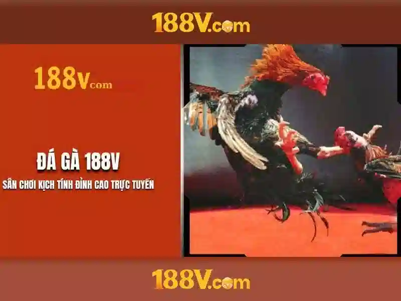 188v: một khái niệm sáng tạo trong thế giới số