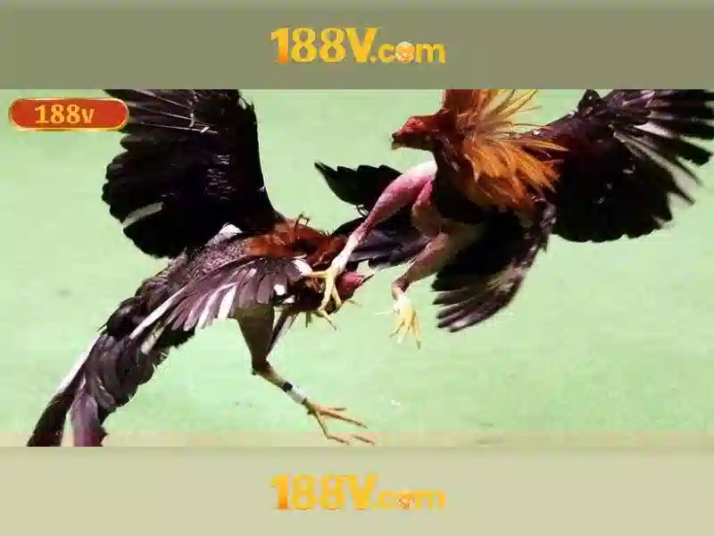 Ứng dụng thực tế của 188v
