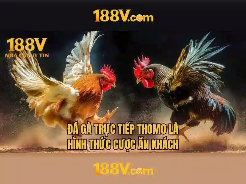Kết luận về ý nghĩa của 188v trong thế giới số