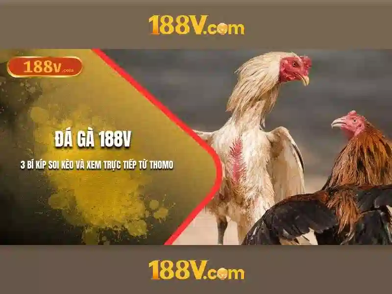 Khám phá 188v: một con số và câu chuyện đằng sau nó