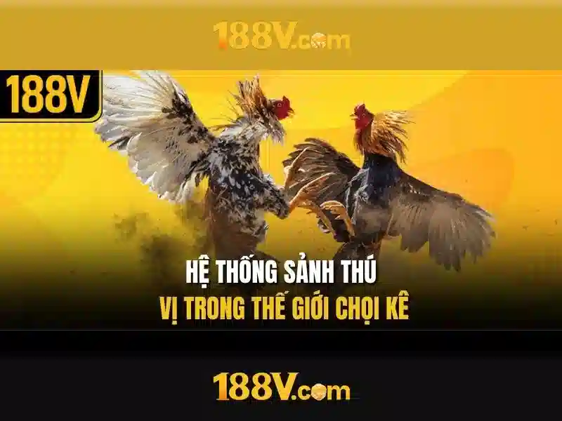 <!--IMG_PLACEHOLDER alt>Trải nghiệm người dùng và phản hồi từ cộng đồng-->