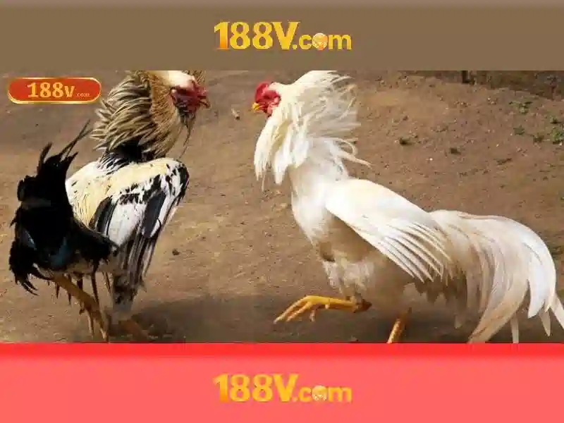 188v: Nhịp thở của một thế giới ảo