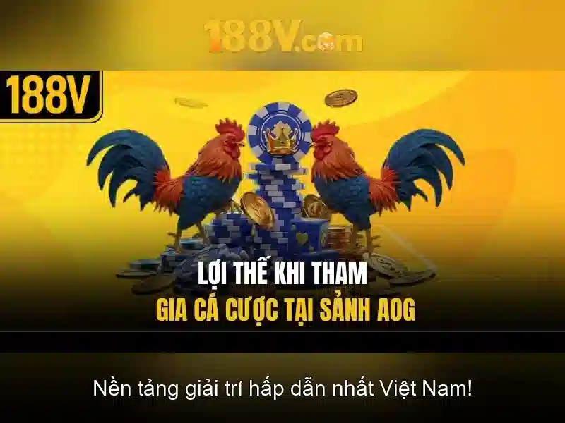Giới thiệu về 188v