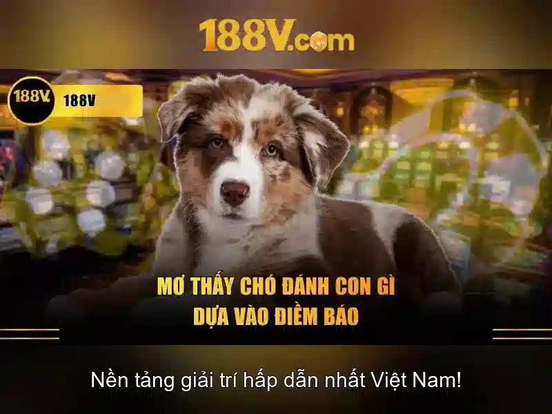 Khái niệm 188v và những điều cần biết