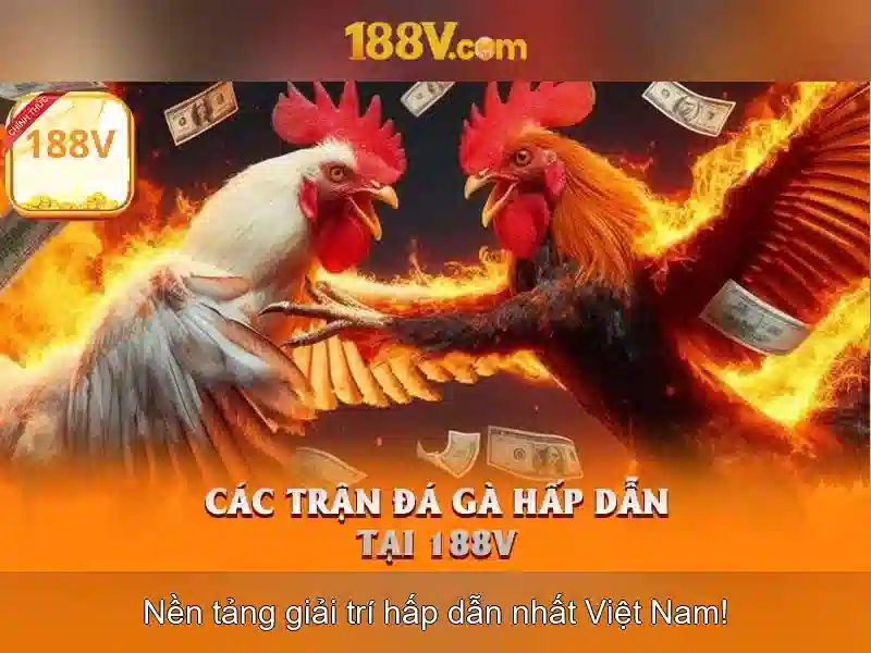 188v: một hành trình khám phá khái niệm số và biến thể