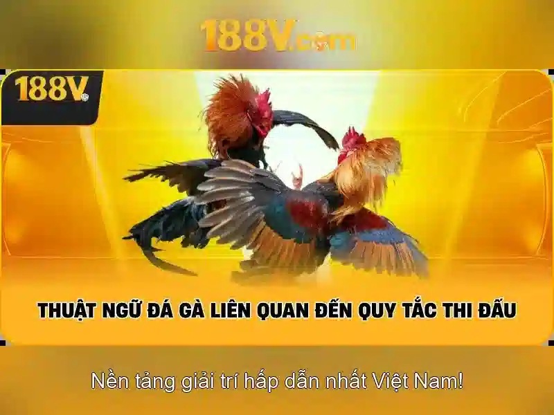 Khám phá nguồn gốc của 188v