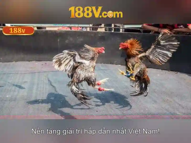 Nguồn gốc và ý nghĩa của 188v