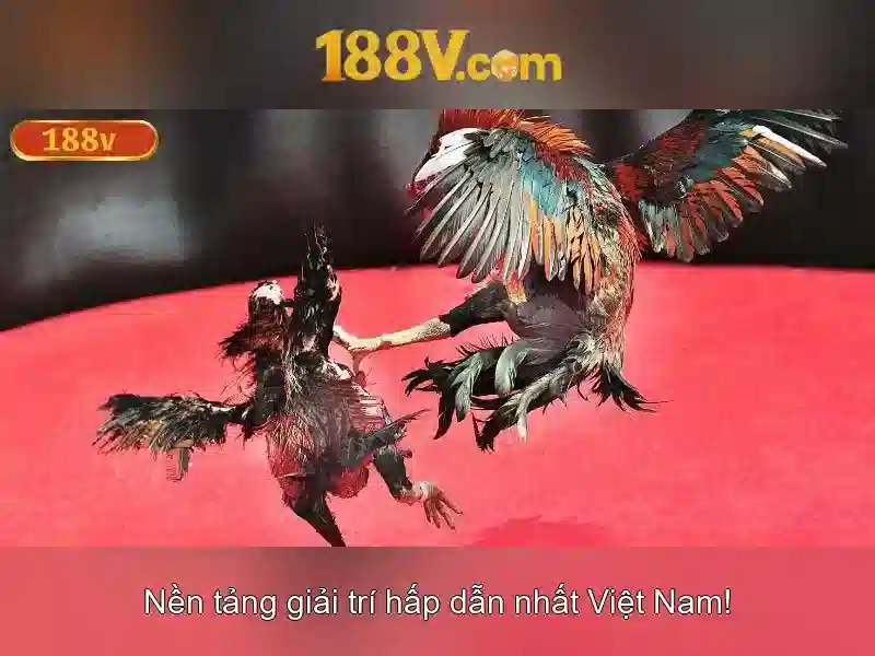 188v và hành trình của một ý tưởng số