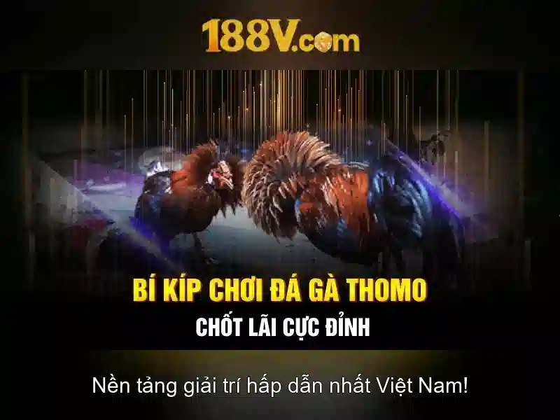 Đo lường và an toàn