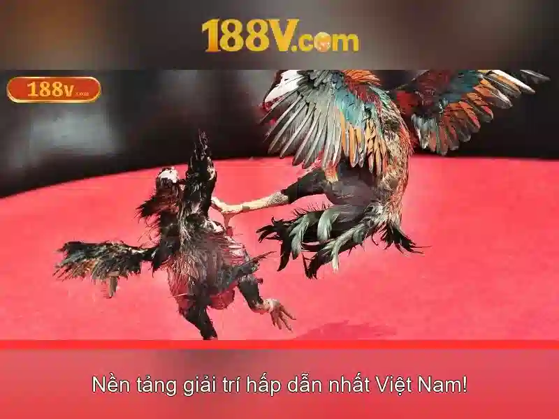 188v: một hành trình sáng tạo