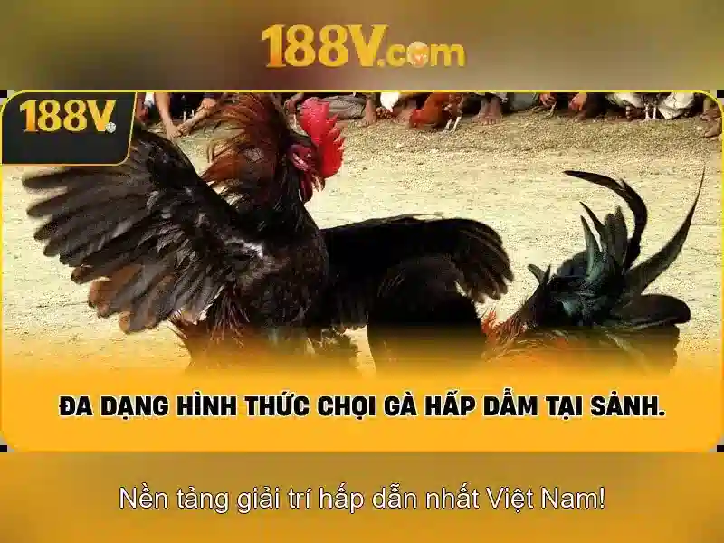 Kết luận và hướng đến tương lai