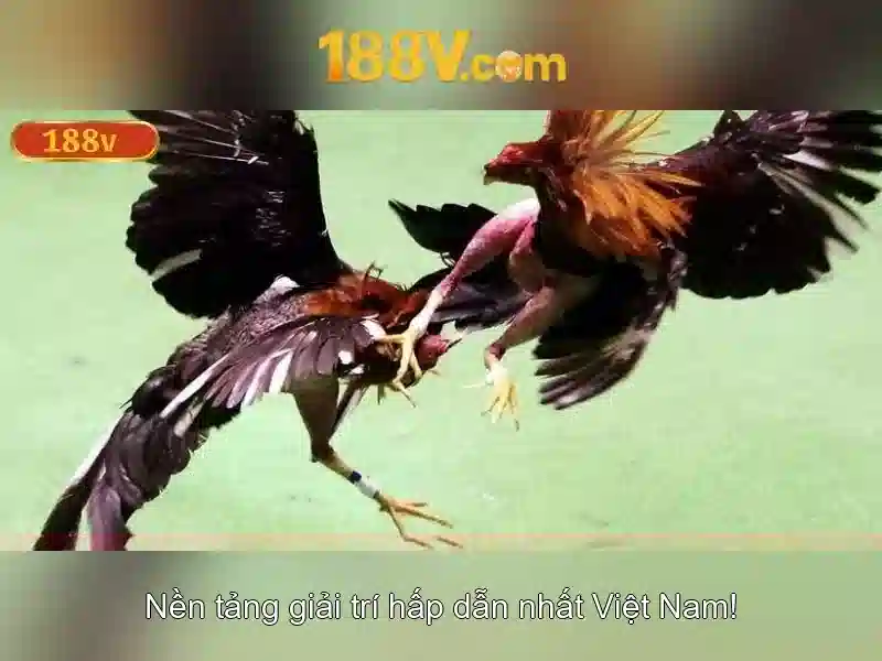 188V: Khái niệm, đặc điểm và ứng dụng