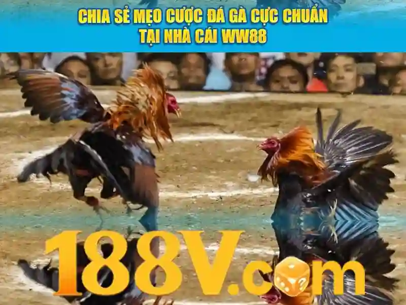 188v vom: Tiềm năng và trải nghiệm slot 188v
