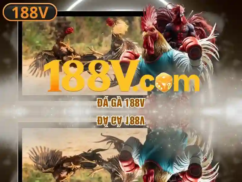 đăng nhập 188v – Trải nghiệm người dùng và phản hồi cộng đồng