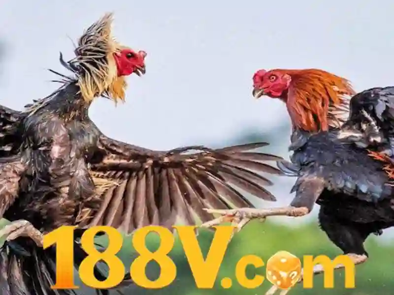 Tổng quan về nạp tiền 188v