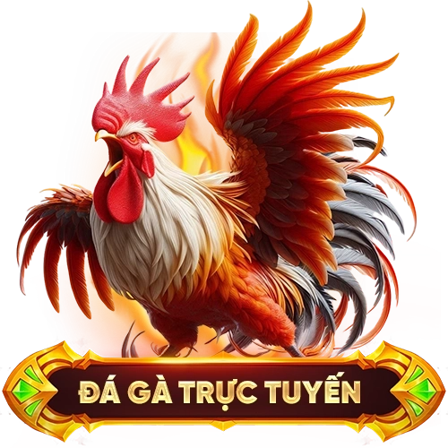 đá gà trực tuyến 188V